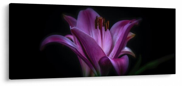 Tablou crinul (120x50 cm)