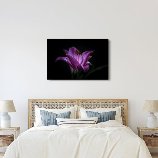 Tablou crinul (90x60 cm)