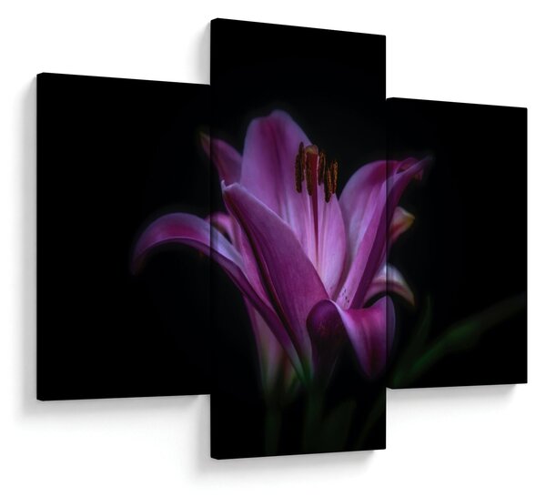 Tablou crinul (90x60 cm)