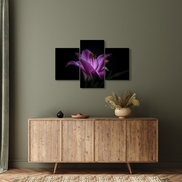 Tablou crinul (90x60 cm)