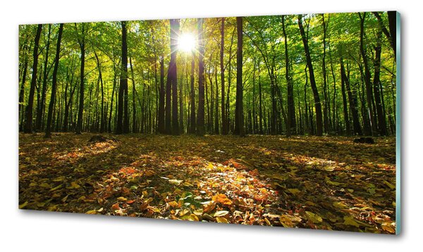 Sticlă pentru bucătărie pădure