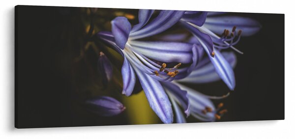 Tablou - Lila (120x50 cm)