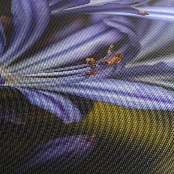Tablou - Lila (150x105 cm)