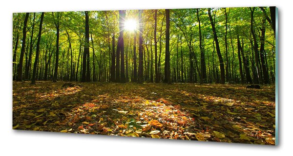 Sticlă pentru bucătărie pădure