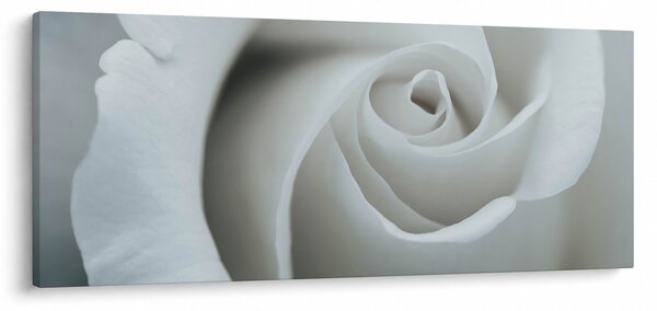 Tablou - Trandafirul alb (120x50 cm)