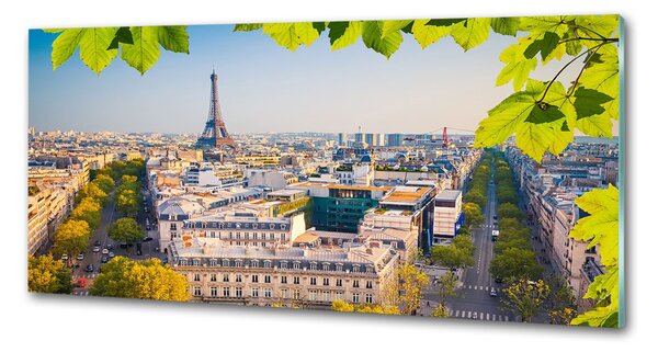 Sticlă pentru bucătărie Paris
