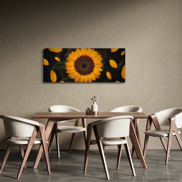 Tablou - Floarea soarelui și petale (120x50 cm)