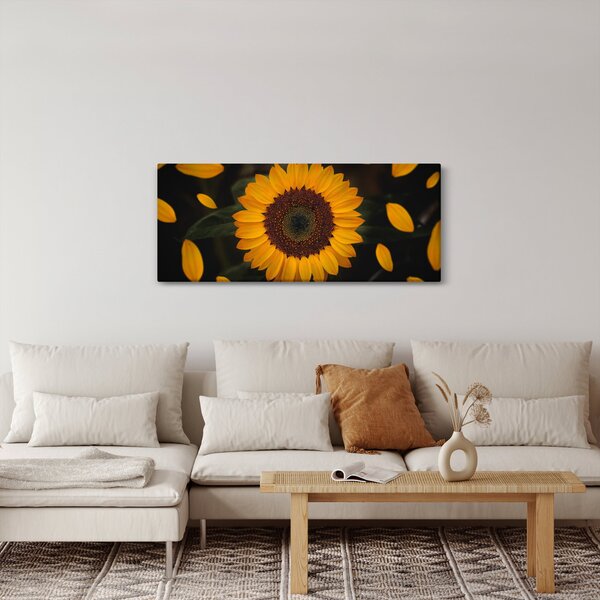 Tablou - Floarea soarelui și petale (120x50 cm)