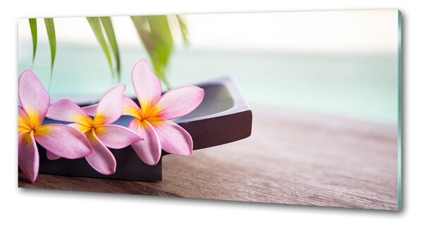 Panou sticla securizata bucatarie plumeria