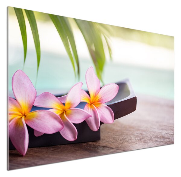 Panou sticla securizata bucatarie plumeria