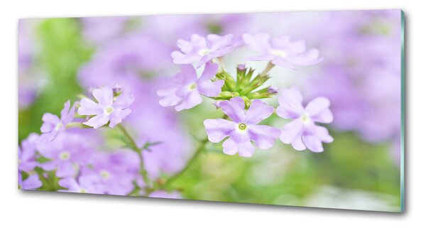 Panou de bucătărie Verbena