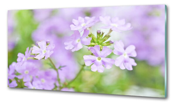 Panou de bucătărie Verbena