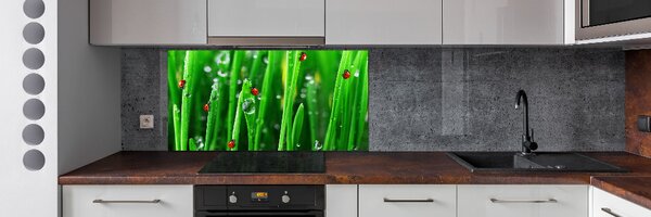 Panou sticla securizata bucatarie Buburuzele pe iarbă