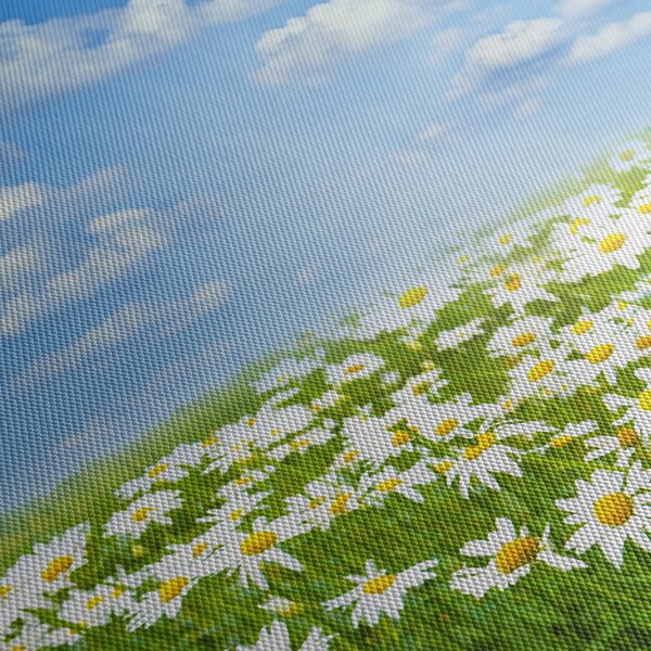 Tablou cu luncă înflorită cu margarete (cu ceas) (90x30 cm)