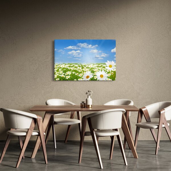 Tablou cu luncă înflorită cu margarete (90x60 cm)
