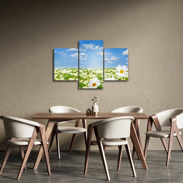 Tablou cu luncă înflorită cu margarete (90x60 cm)