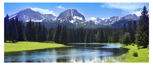 Tablou - vâfurile montane înzăpezite (120x50 cm)