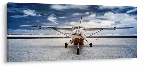 Tablou cu aeroplan cu motor (120x50 cm)