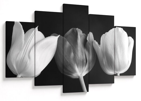 Tablou - Lalele alb negre (150x105 cm)