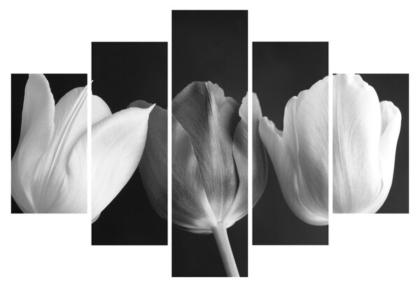 Tablou - Lalele alb negre (150x105 cm)