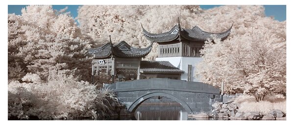 Tablou - pomi înfloriți în Asia (120x50 cm)