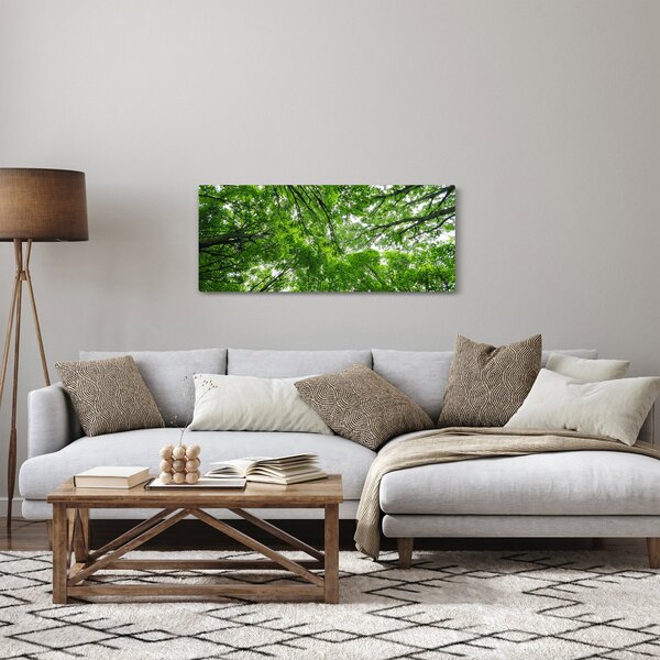 Tablou - privire în coroanele pomilor (120x50 cm)