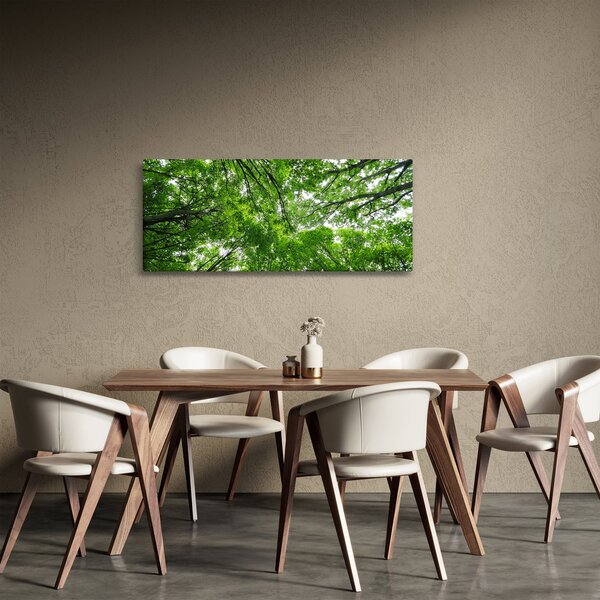 Tablou - privire în coroanele pomilor (120x50 cm)