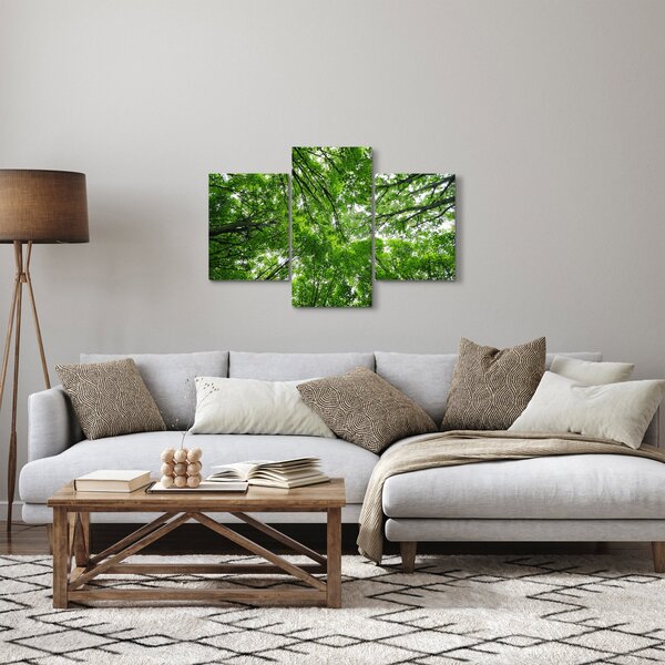 Tablou - privire în coroanele pomilor (90x60 cm)