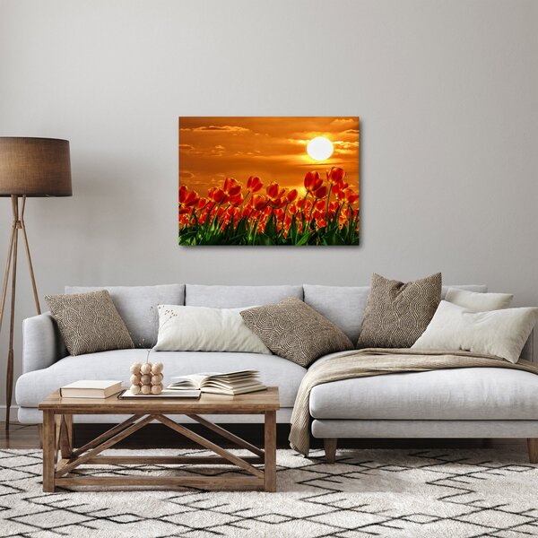 Tablou - lan înflorit de lalele (70x50 cm)