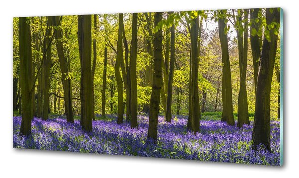 Panou sticlă decorativa bucătărie primăvară pădure