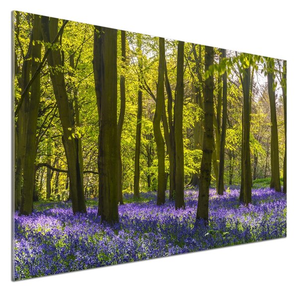 Panou sticlă decorativa bucătărie primăvară pădure