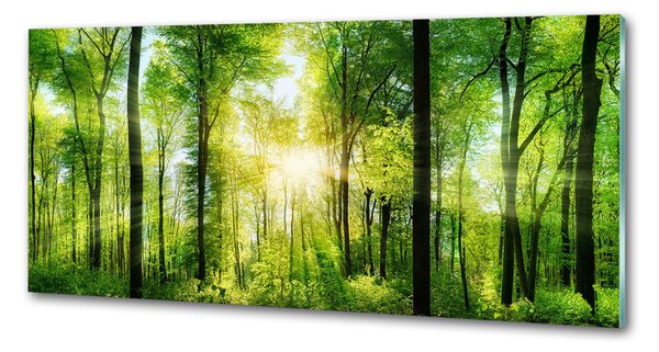 Panou sticla securizata bucatarie Pădurea în soare