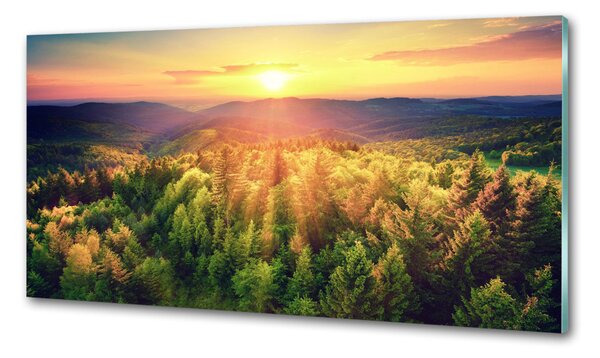 Panou sticla securizata bucatarie apus de soare Forest