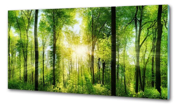 Panou sticla securizata bucatarie Pădurea în soare