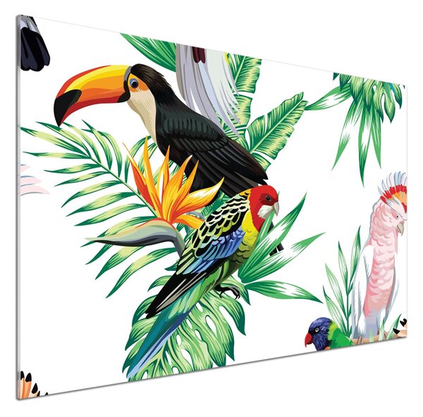 Panou sticla securizata bucatarie păsări tropicale