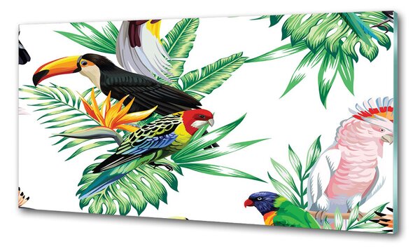Panou sticla securizata bucatarie păsări tropicale