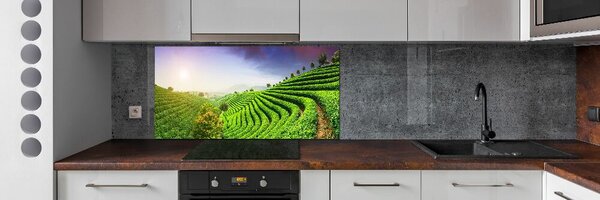 Panou sticla securizata bucatarie plantație de ceai