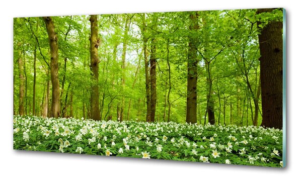 Panou sticla securizata bucatarie Flori în pădure