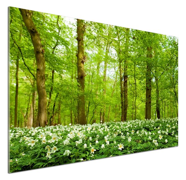 Panou sticla securizata bucatarie Flori în pădure