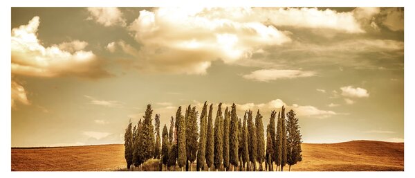 Tablou cu luncă (120x50 cm)