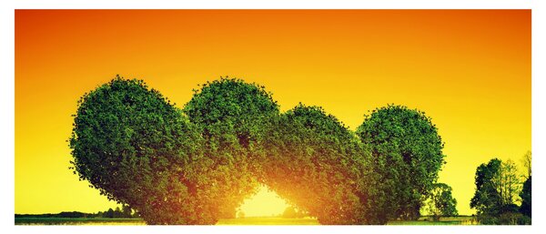 Tablou - Inima în coroanele copacilor (120x50 cm)