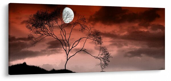 Tablou - Luna luminează noaptea (120x50 cm)