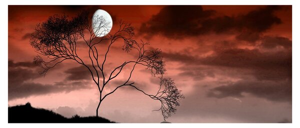 Tablou - Luna luminează noaptea (120x50 cm)