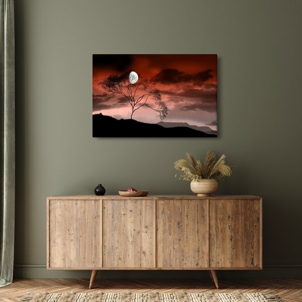 Tablou - Luna luminează noaptea (90x60 cm)