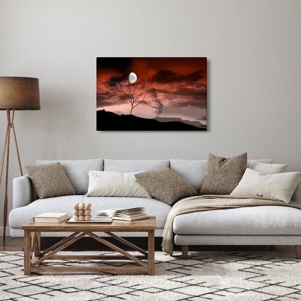 Tablou - Luna luminează noaptea (90x60 cm)