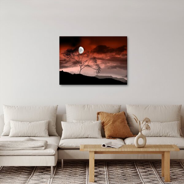 Tablou - Luna luminează noaptea (70x50 cm)