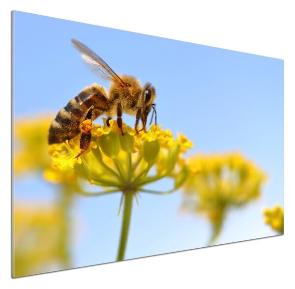Panou sticlă decorativa bucătărie Albine pe o floare