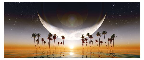 Tablou - Luna deasupra palmierilor (120x50 cm)