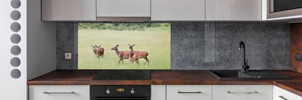 Panou sticlă decorativa bucătărie Deer cu tinere