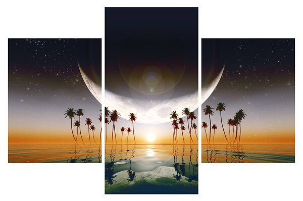 Tablou - Luna deasupra palmierilor (90x60 cm)